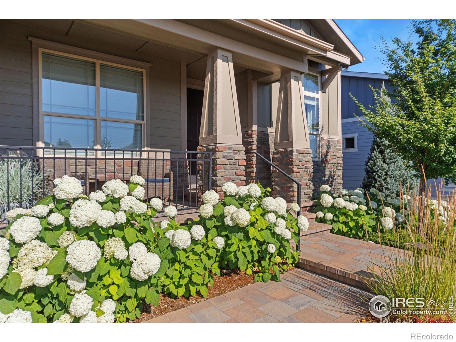 CMA Image for 6015  sapling court,Fort Collins, Colorado
