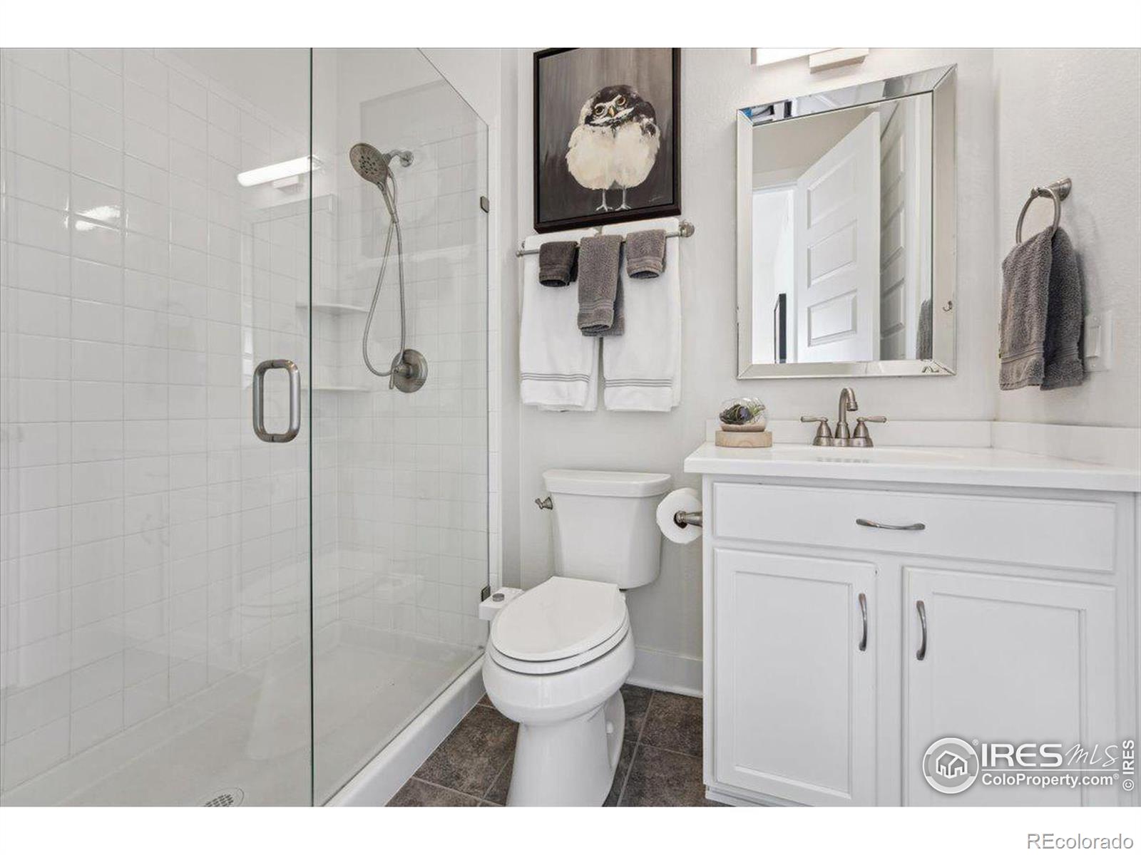 MLS Image #28 for 6015  sapling court,fort collins, Colorado