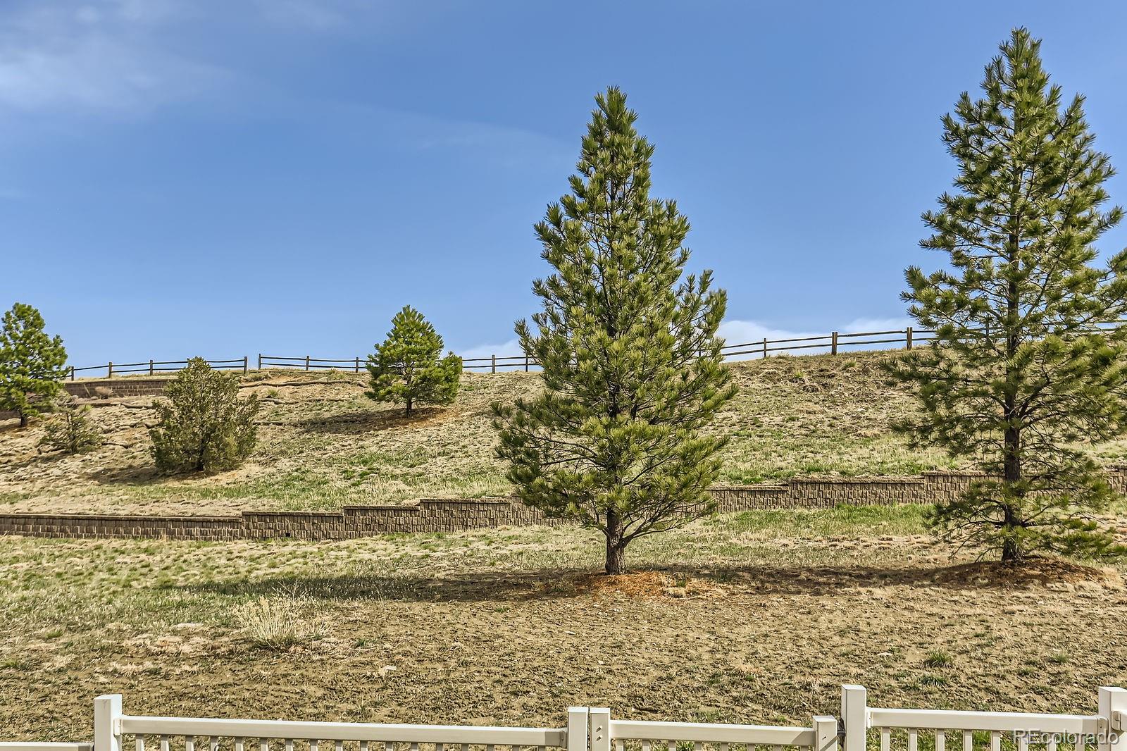 MLS Image #24 for 3854  tranquility trail,castle rock, Colorado