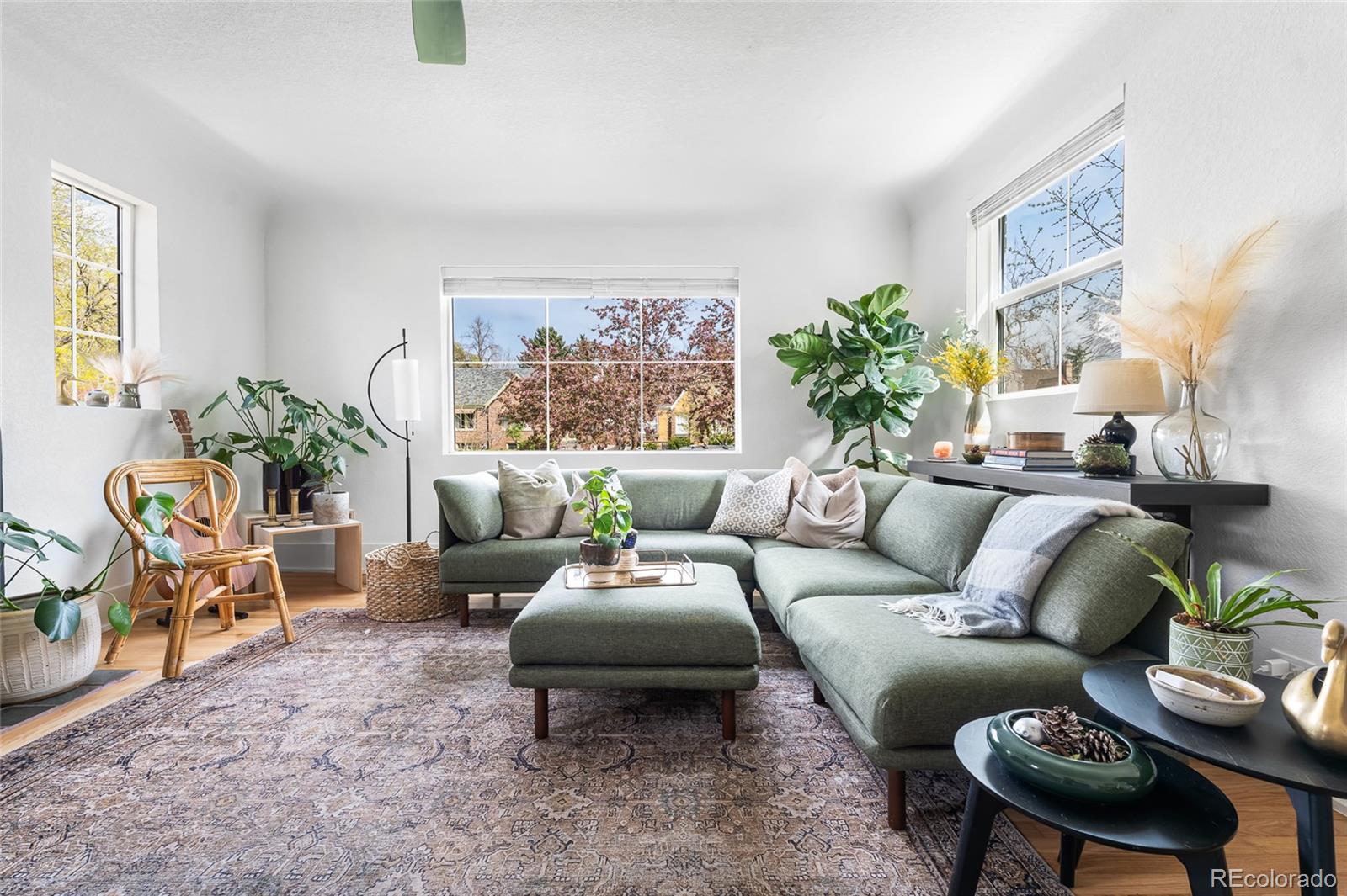MLS Image #4 for 1561  holly street,denver, Colorado