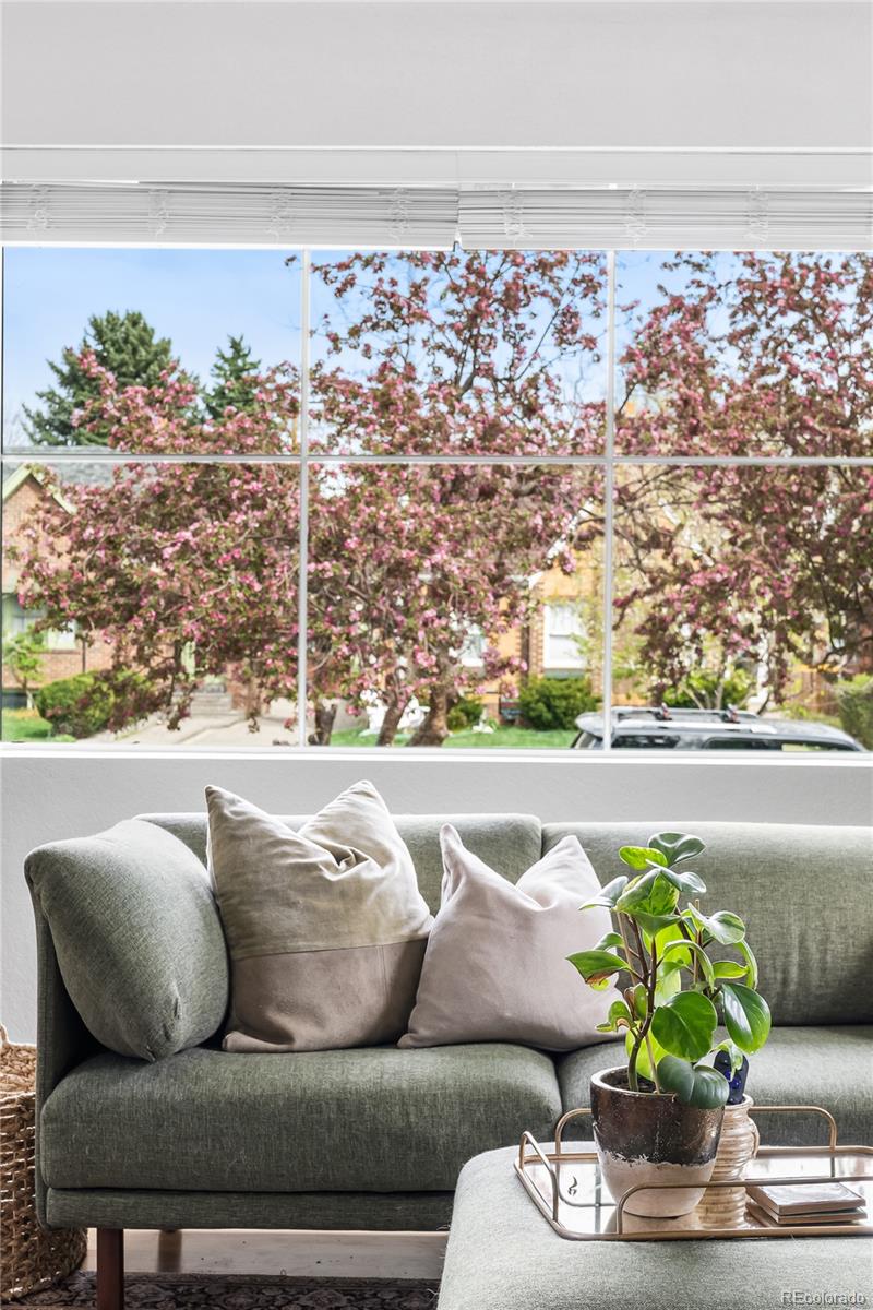 MLS Image #5 for 1561  holly street,denver, Colorado