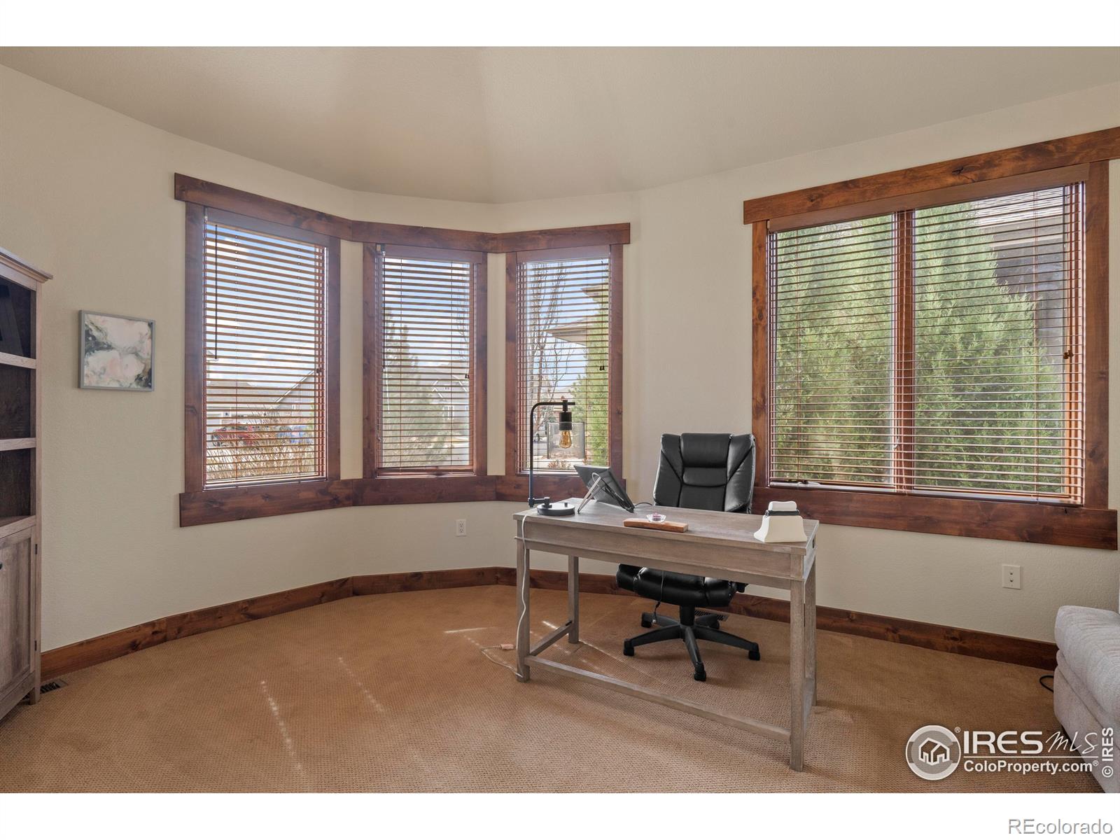 MLS Image #12 for 1972  cayman drive,windsor, Colorado