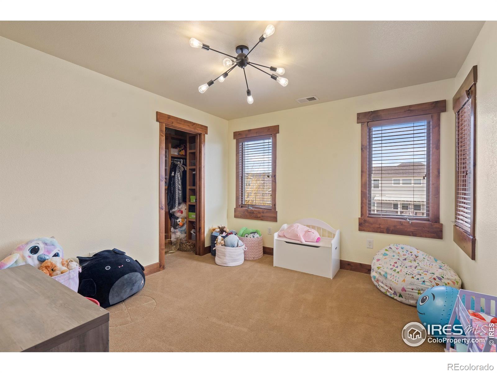 MLS Image #19 for 1972  cayman drive,windsor, Colorado