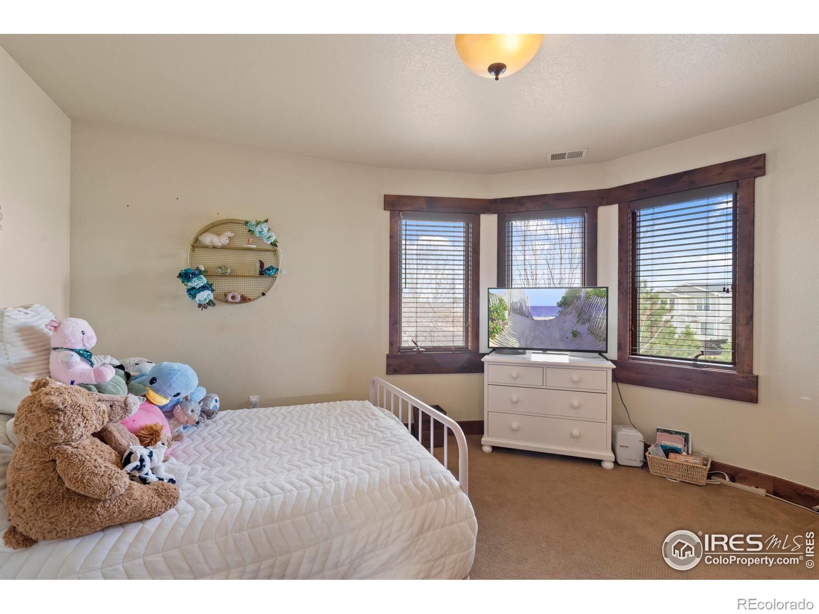 MLS Image #20 for 1972  cayman drive,windsor, Colorado