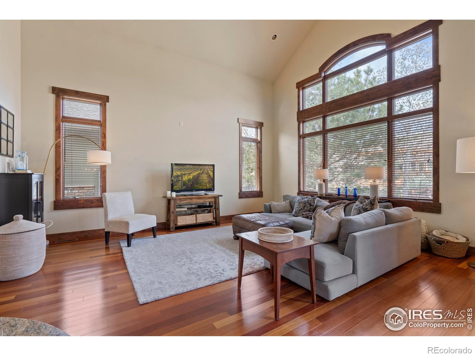 MLS Image #5 for 1972  cayman drive,windsor, Colorado