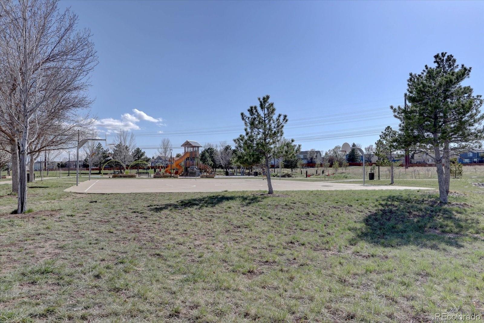 MLS Image #24 for 5936  turnstone place,castle rock, Colorado