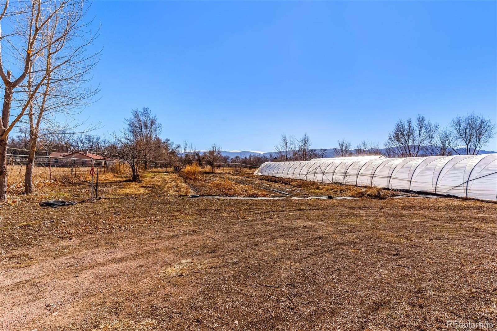 MLS Image #43 for 1738  sherman avenue,canon city, Colorado