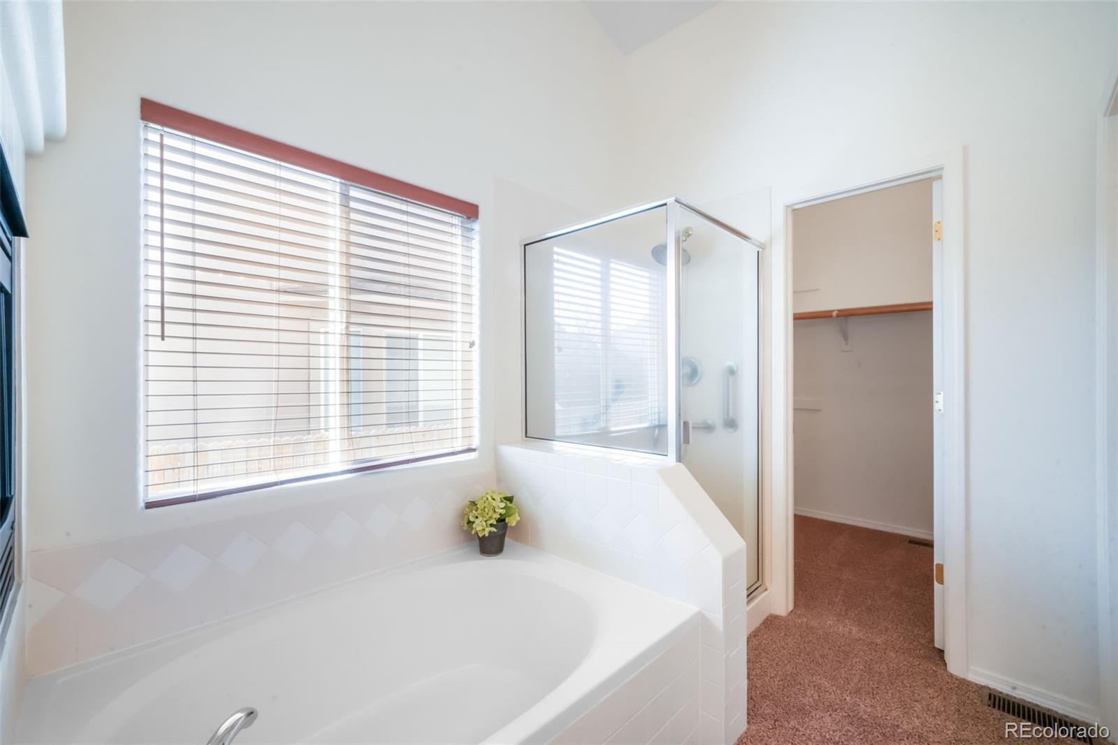 MLS Image #28 for 3841  sonoran drive,colorado springs, Colorado