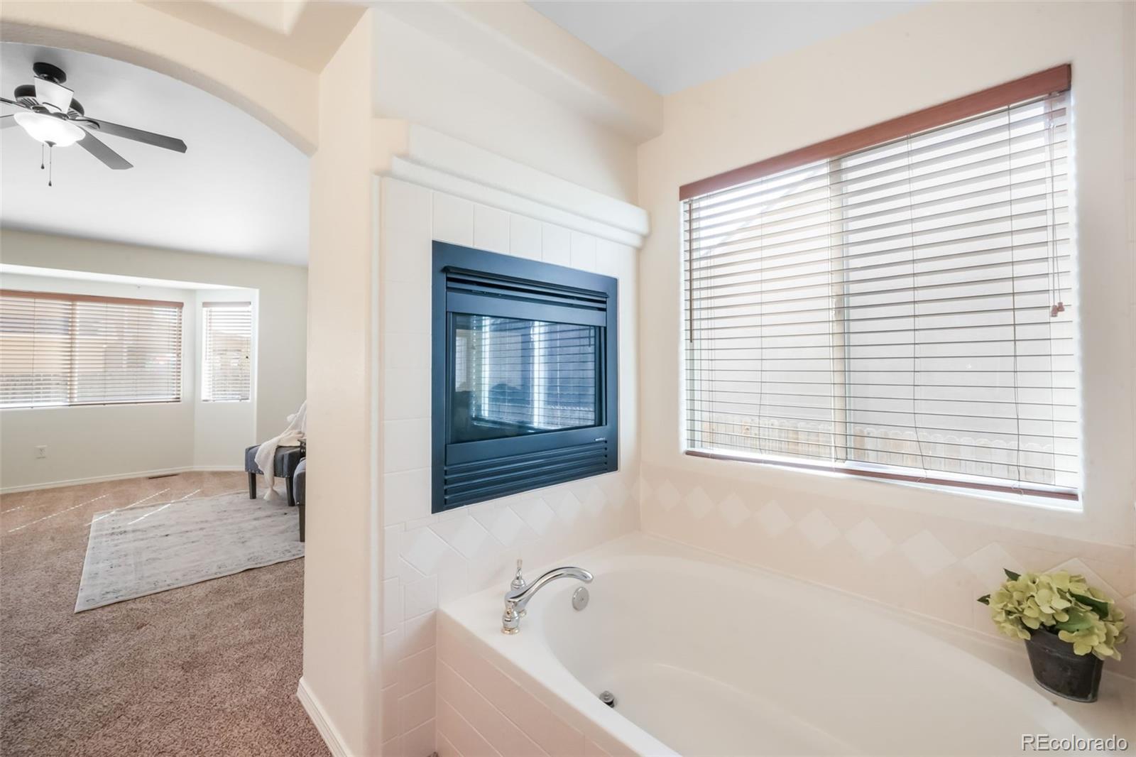 MLS Image #30 for 3841  sonoran drive,colorado springs, Colorado