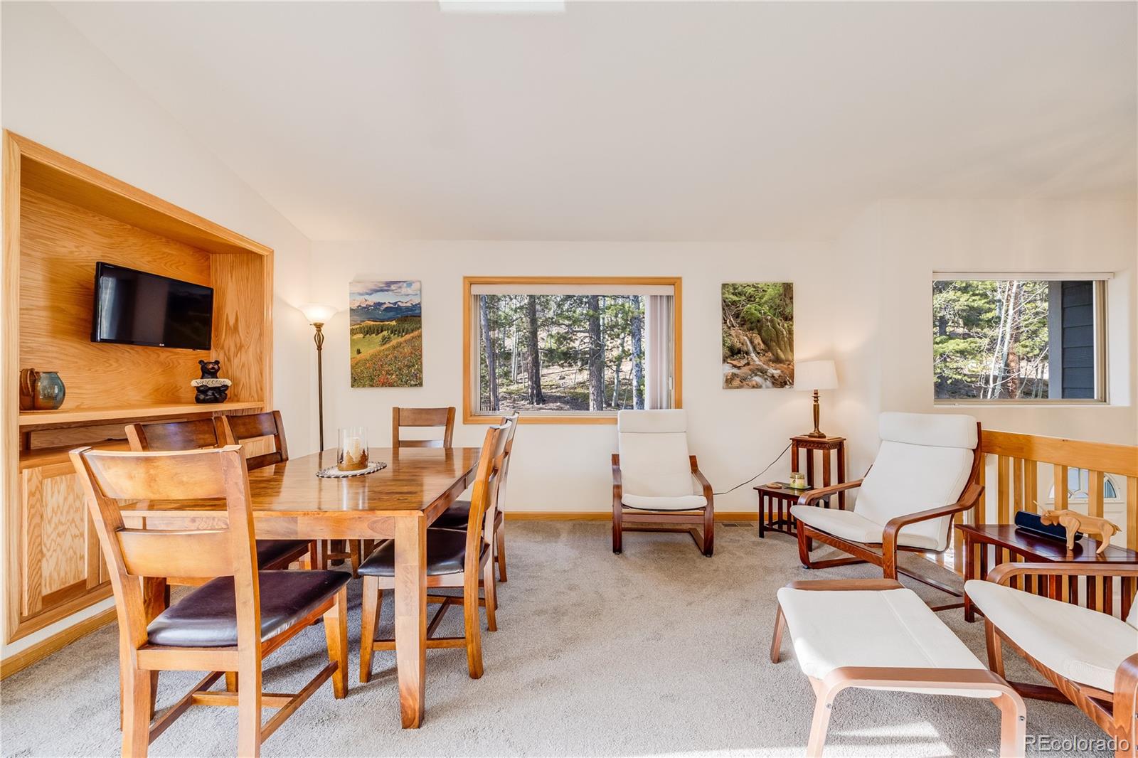 MLS Image #10 for 691  gold flake terrace,bailey, Colorado