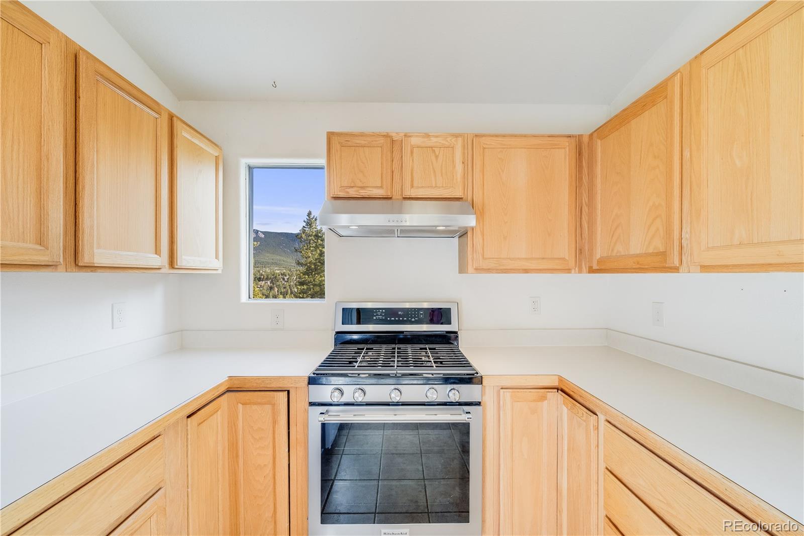 MLS Image #13 for 691  gold flake terrace,bailey, Colorado