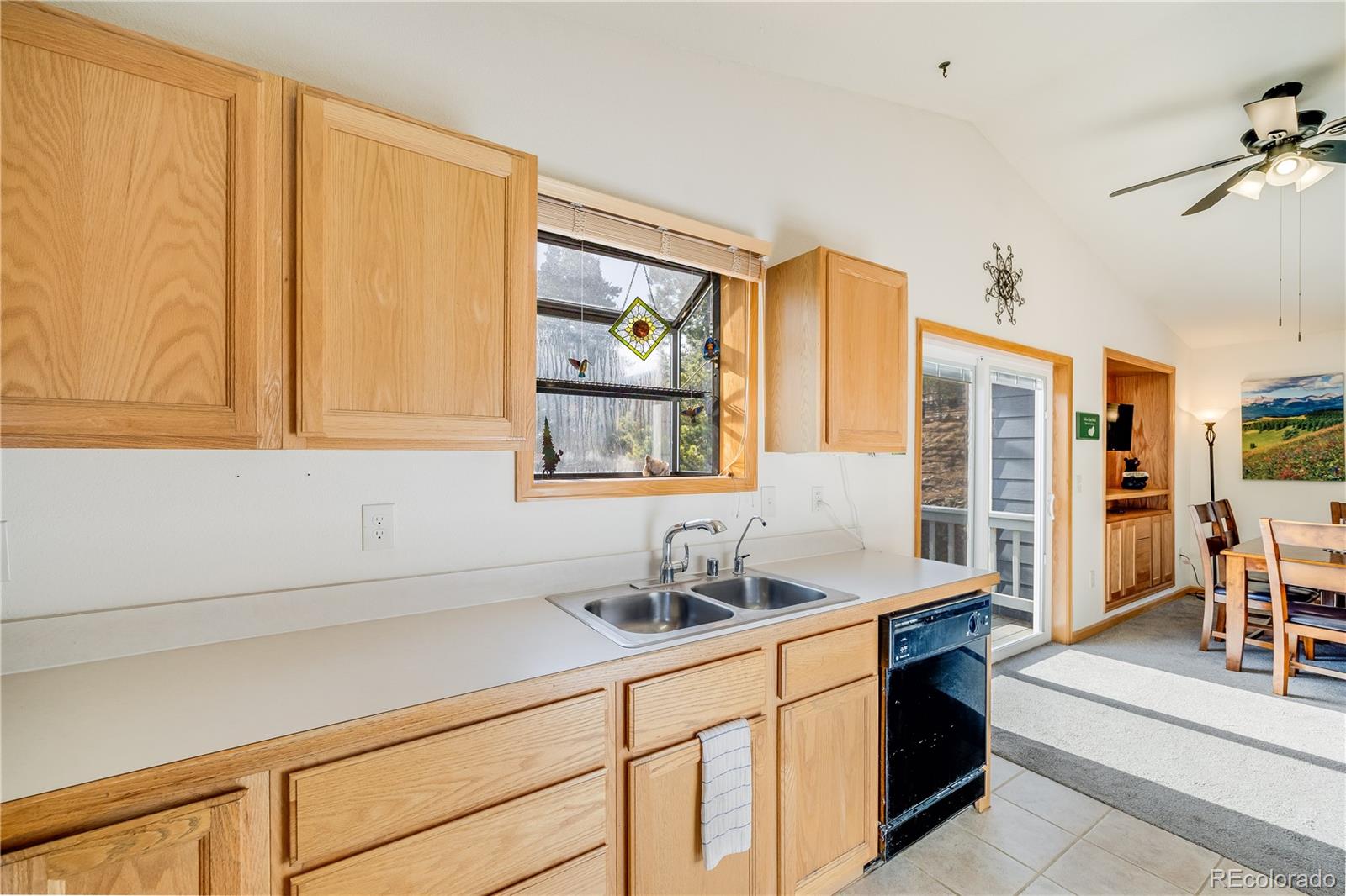 MLS Image #14 for 691  gold flake terrace,bailey, Colorado