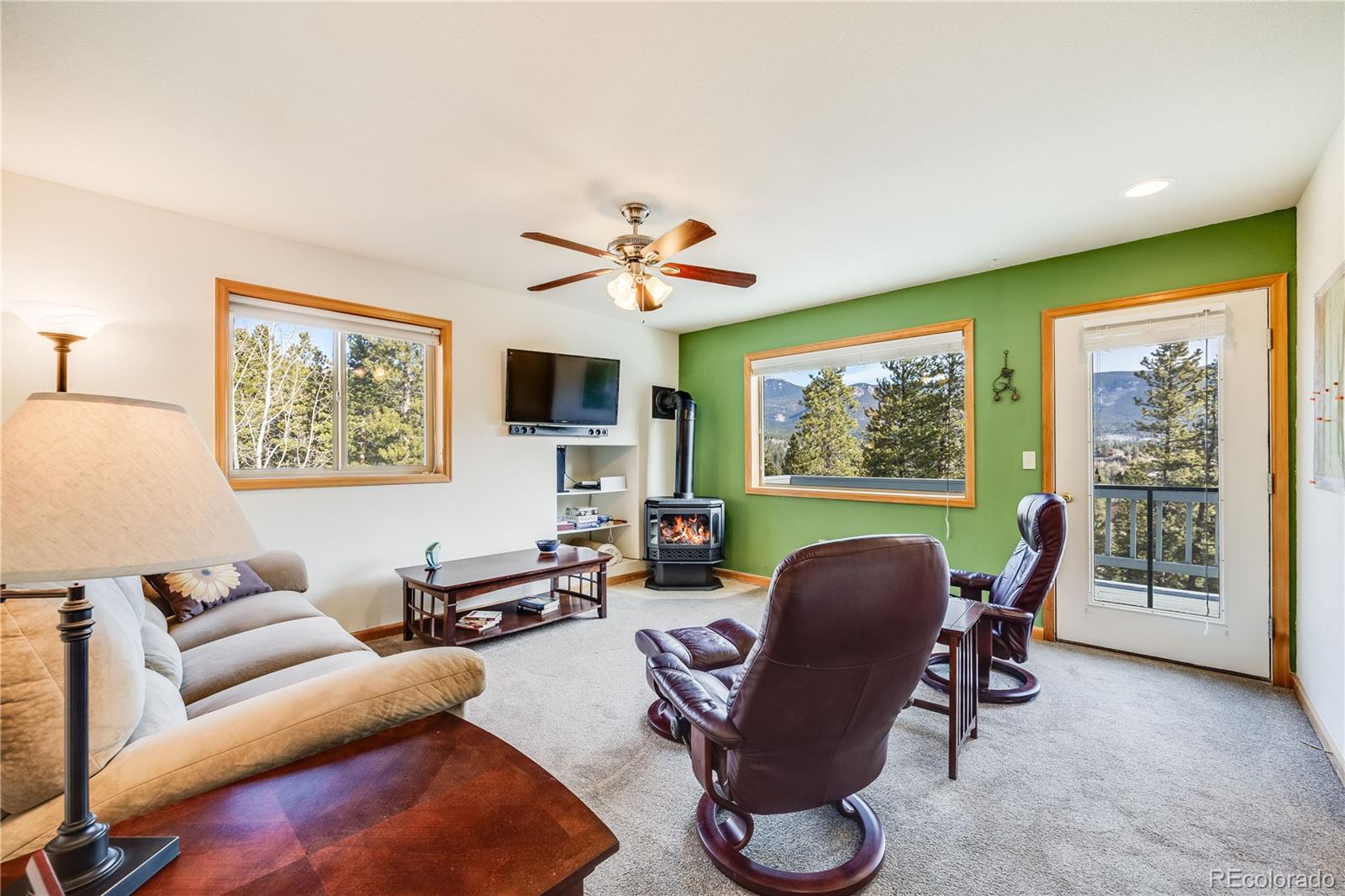 MLS Image #16 for 691  gold flake terrace,bailey, Colorado