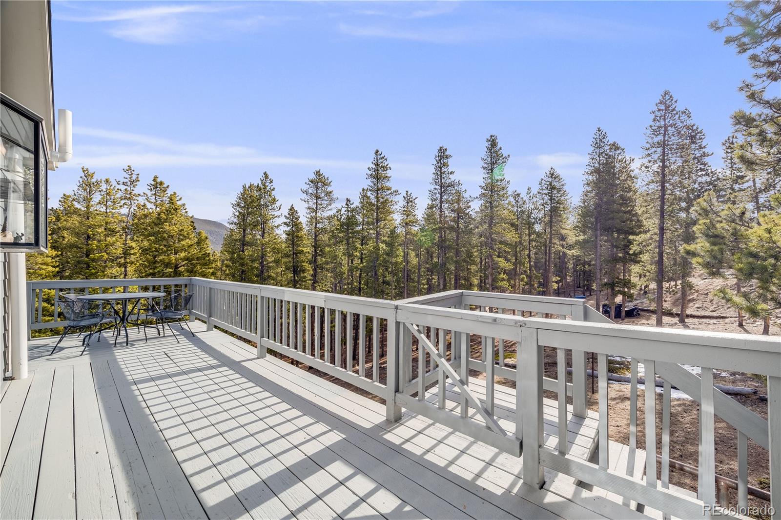 MLS Image #19 for 691  gold flake terrace,bailey, Colorado