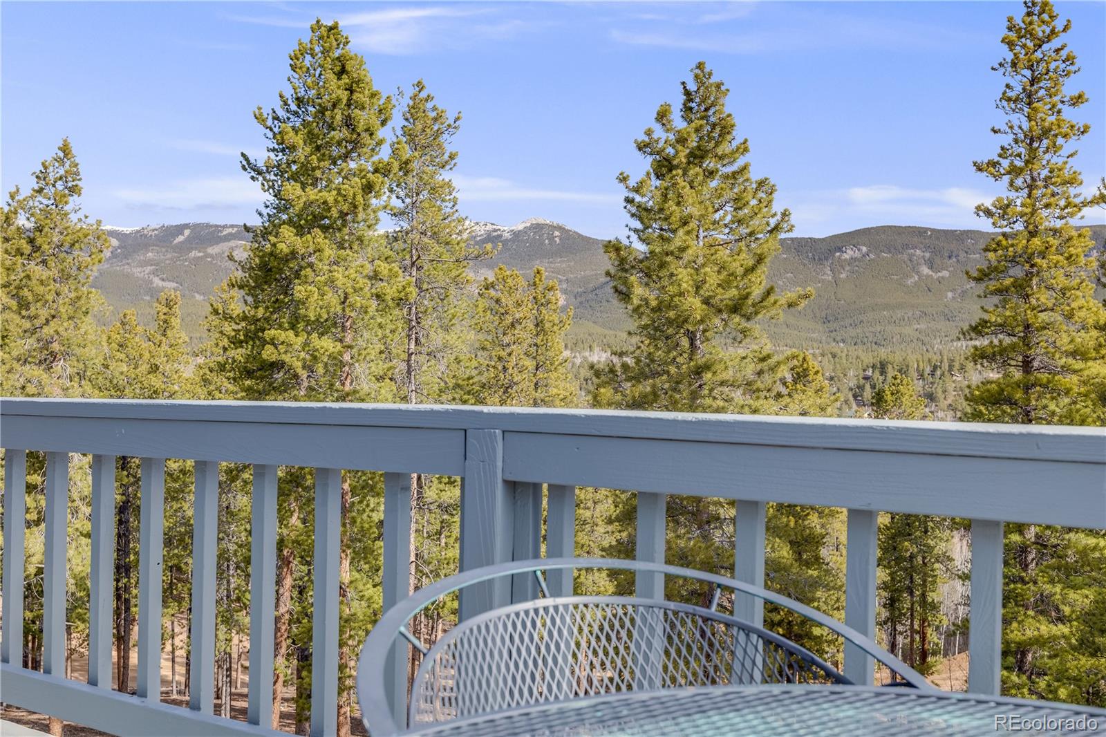 MLS Image #20 for 691  gold flake terrace,bailey, Colorado
