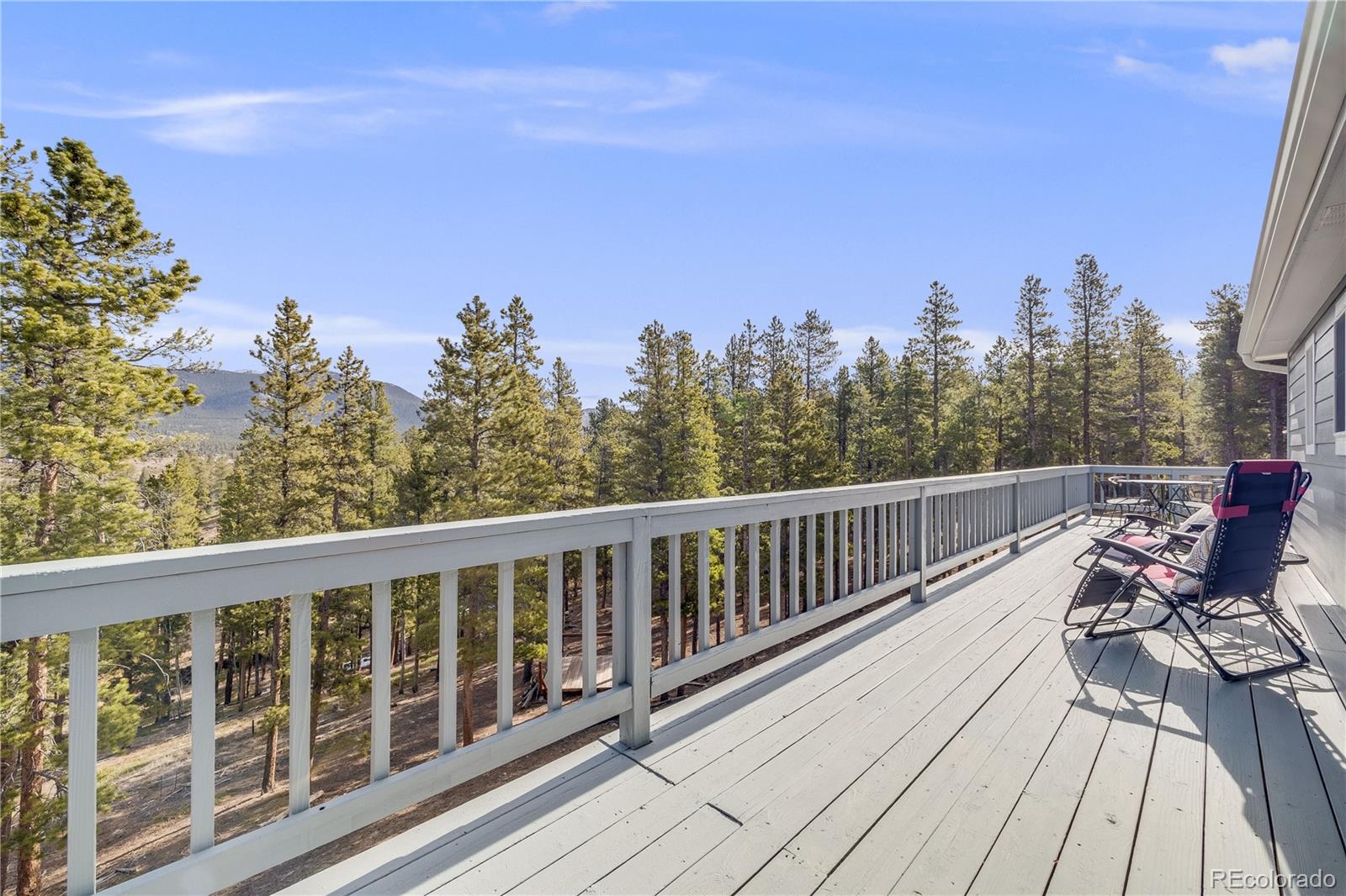 MLS Image #21 for 691  gold flake terrace,bailey, Colorado