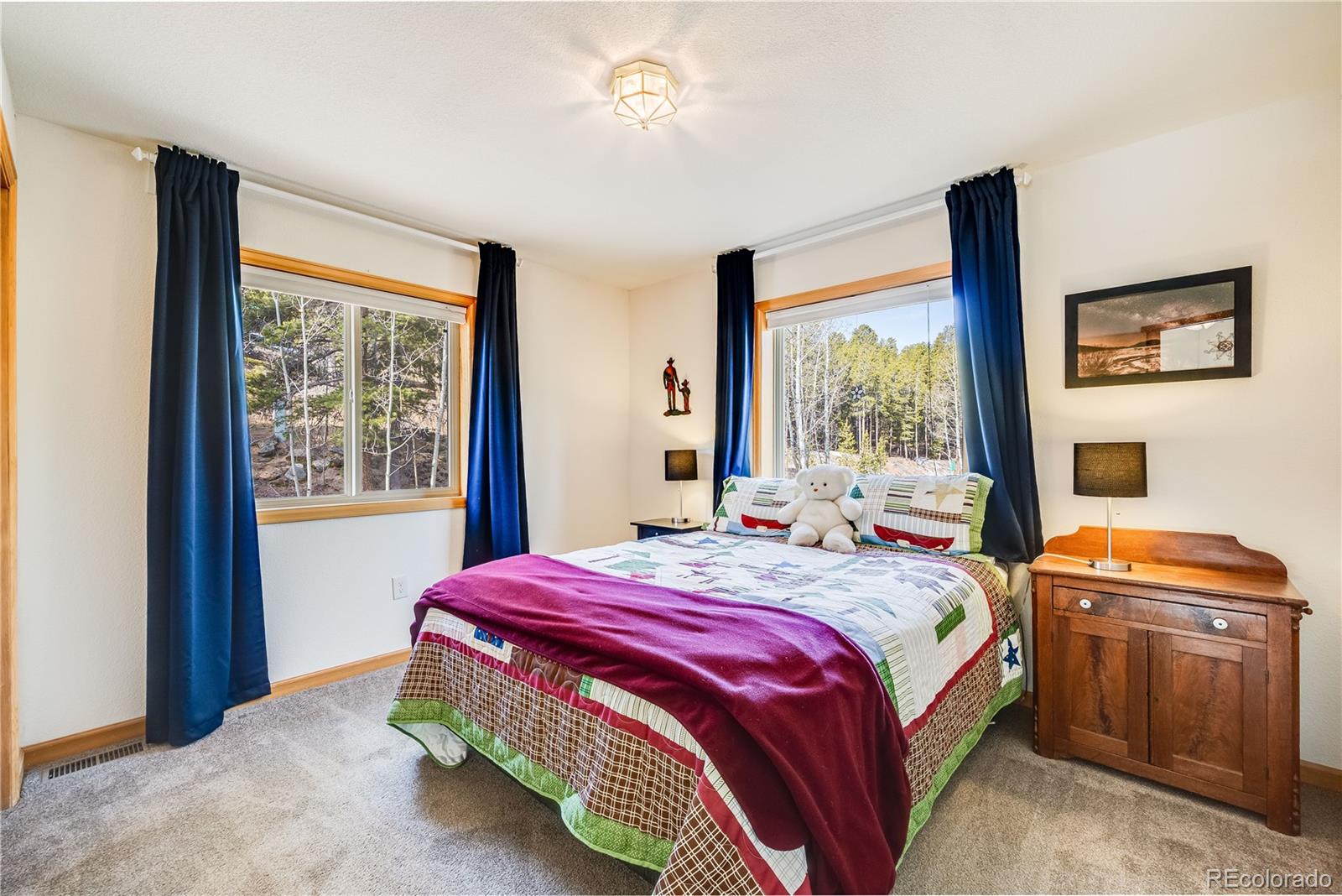 MLS Image #22 for 691  gold flake terrace,bailey, Colorado