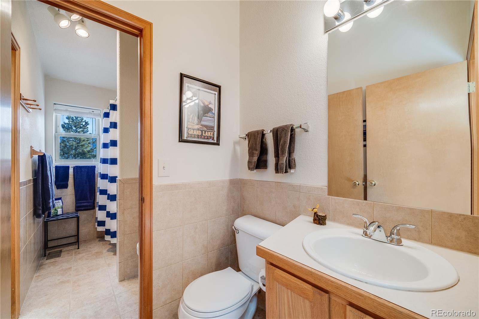 MLS Image #23 for 691  gold flake terrace,bailey, Colorado