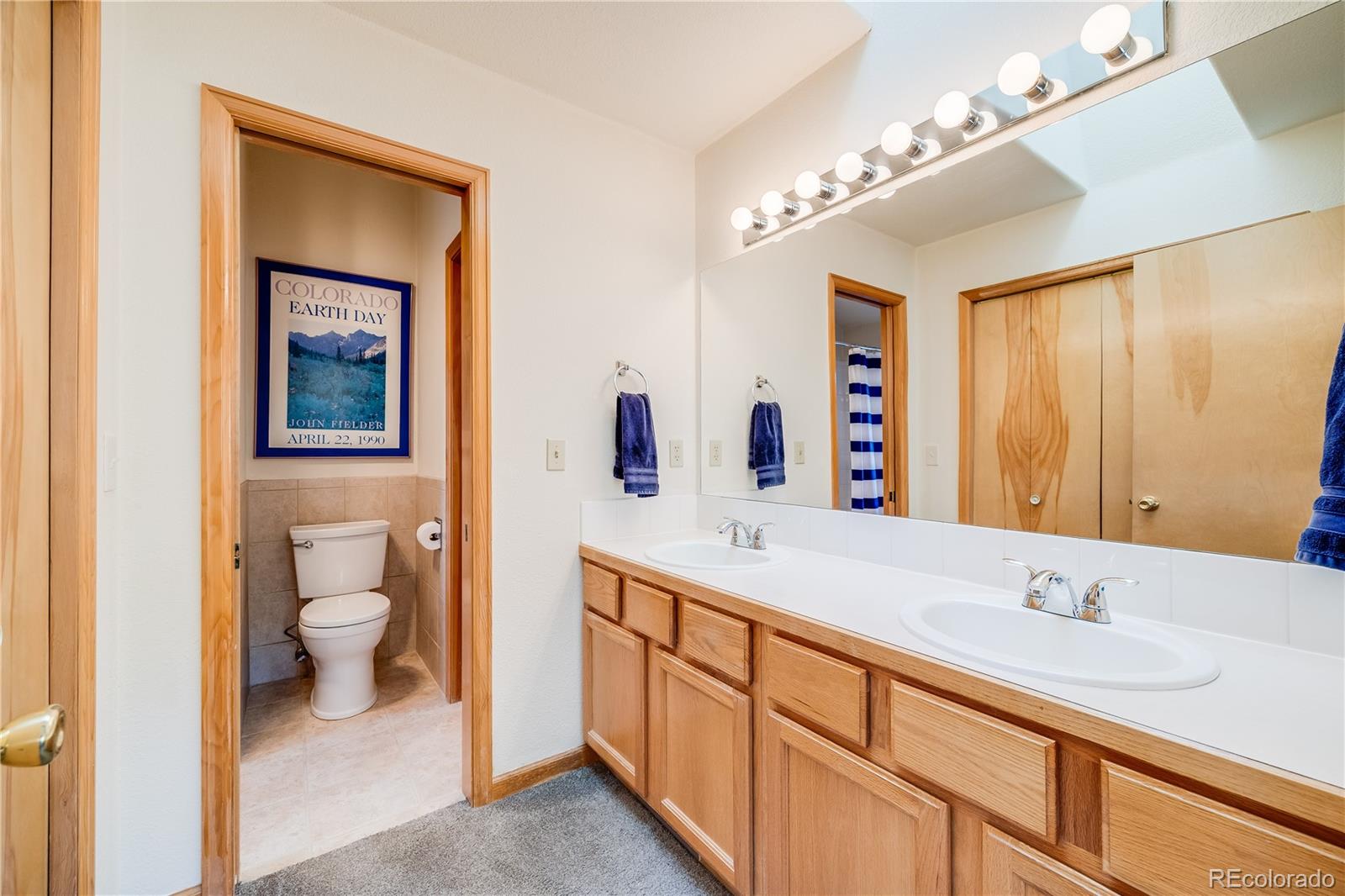 MLS Image #24 for 691  gold flake terrace,bailey, Colorado