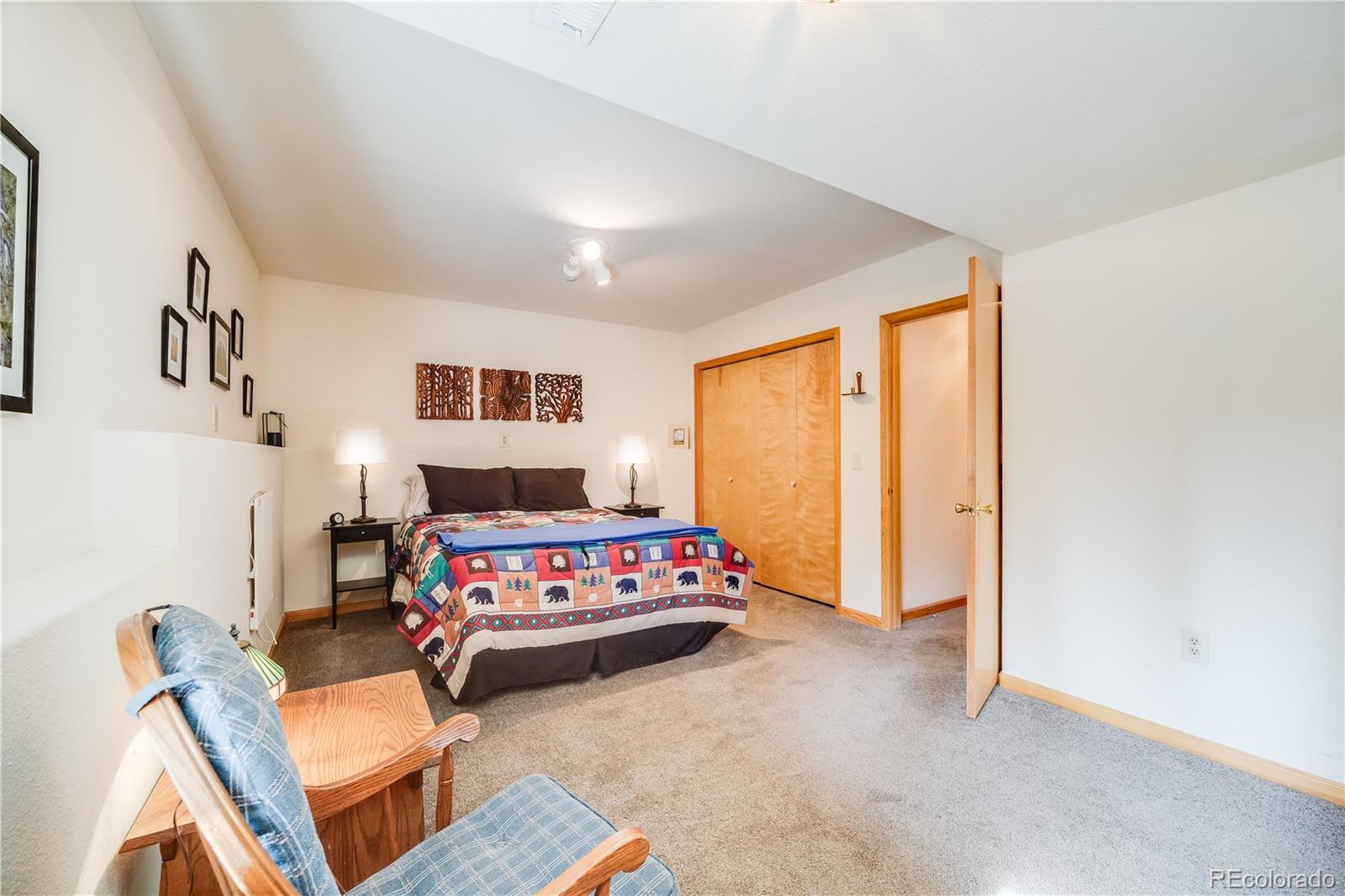 MLS Image #25 for 691  gold flake terrace,bailey, Colorado