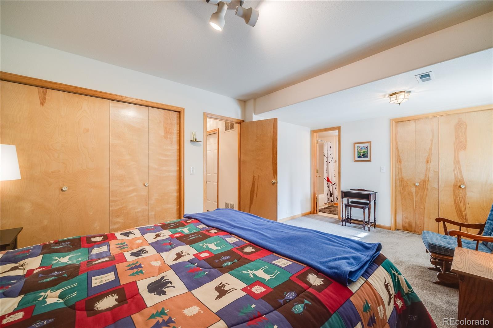 MLS Image #26 for 691  gold flake terrace,bailey, Colorado