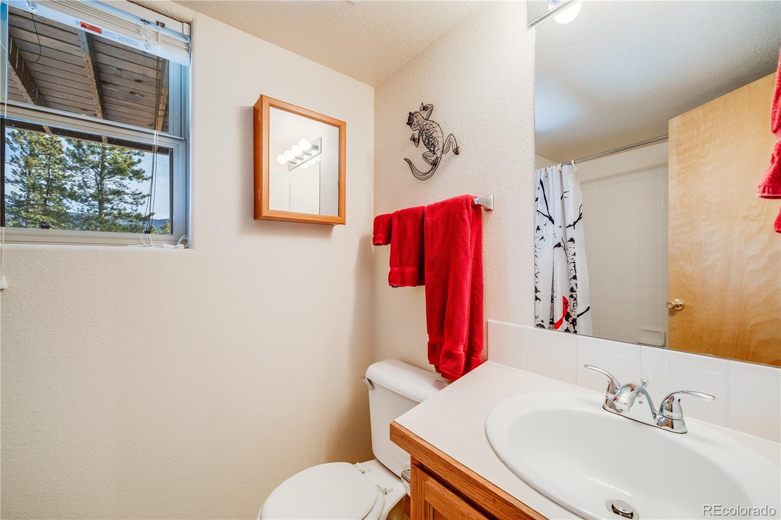 MLS Image #27 for 691  gold flake terrace,bailey, Colorado