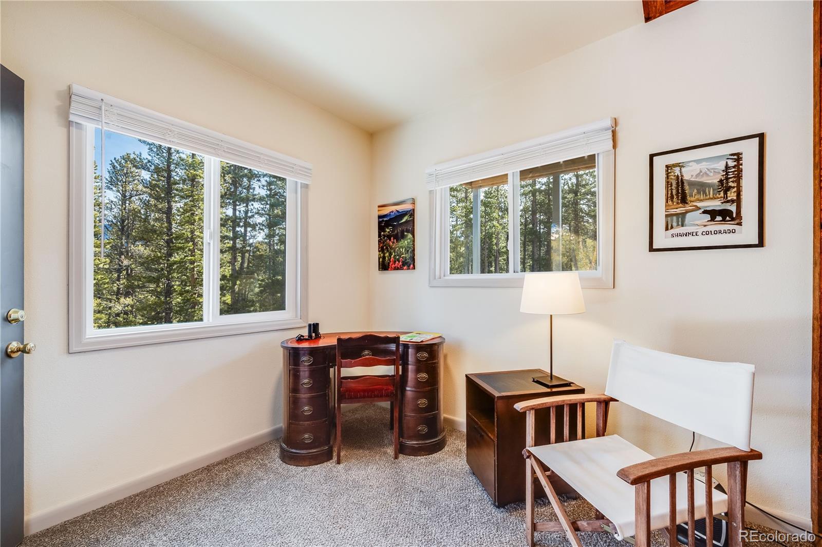 MLS Image #31 for 691  gold flake terrace,bailey, Colorado