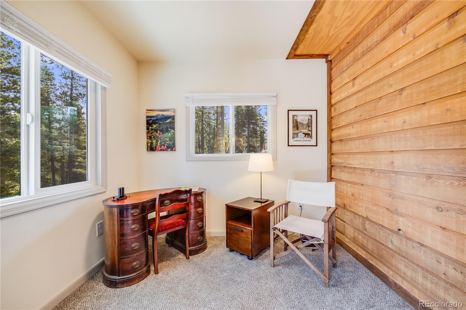 MLS Image #32 for 691  gold flake terrace,bailey, Colorado
