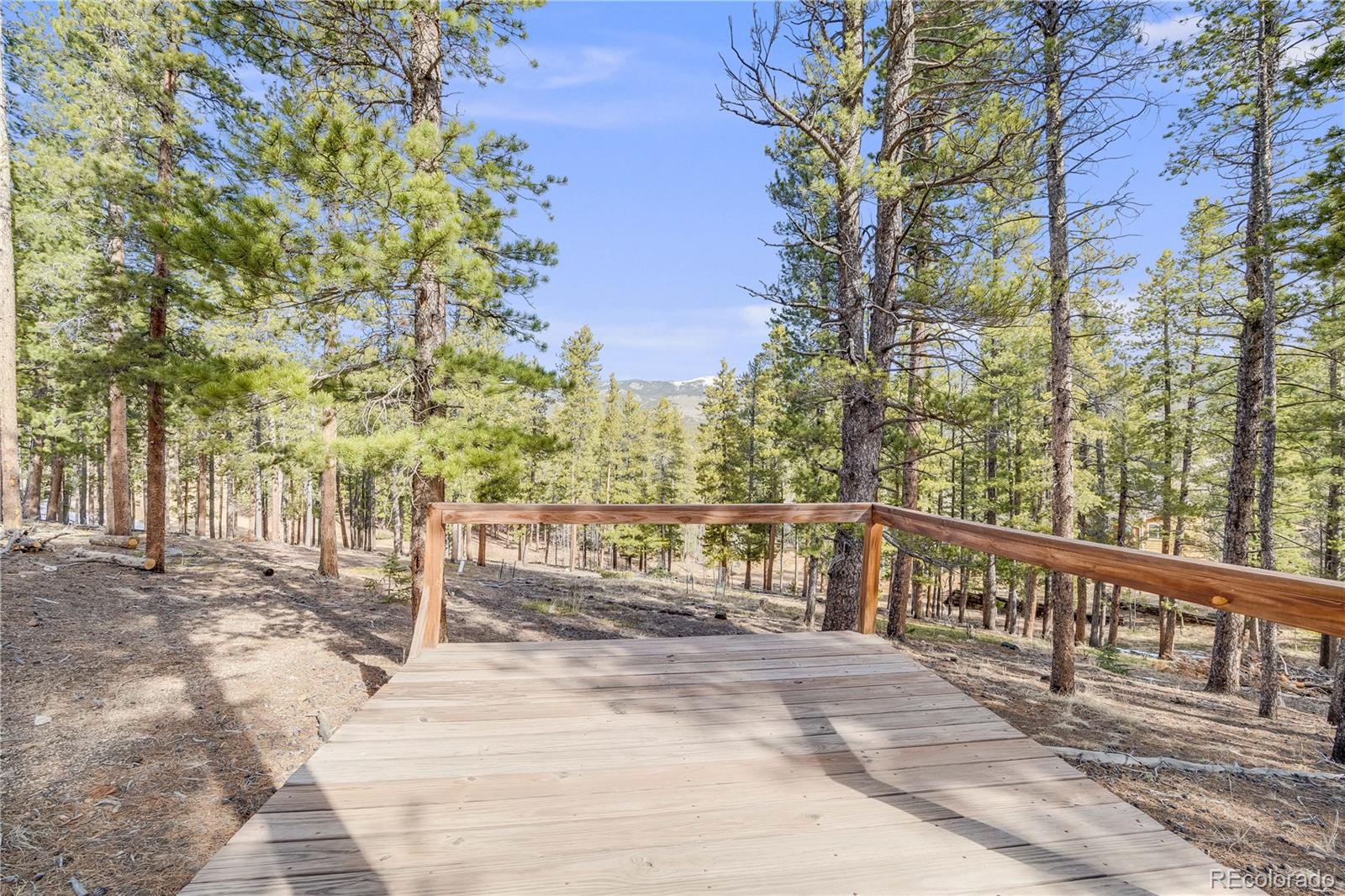 MLS Image #36 for 691  gold flake terrace,bailey, Colorado