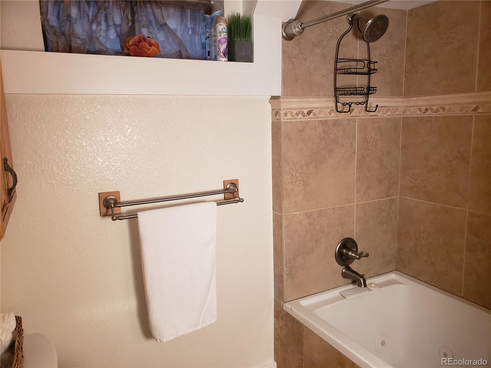 MLS Image #15 for 2860  ames street,wheat ridge, Colorado