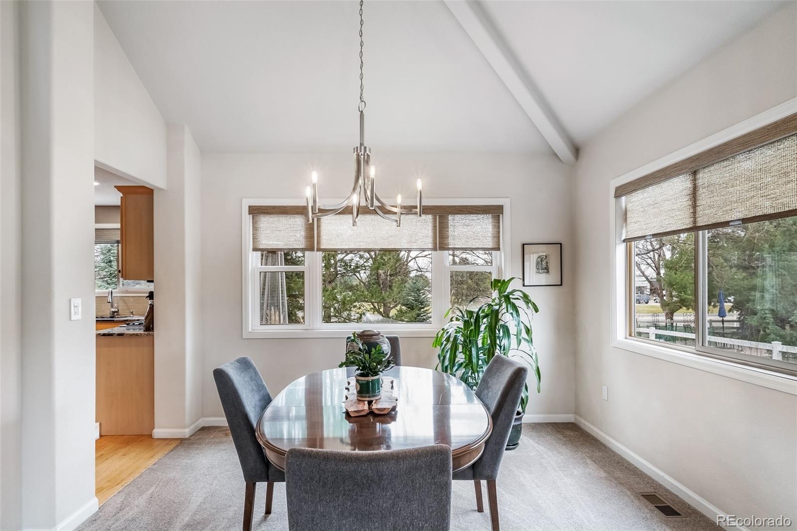 MLS Image #13 for 1014  willow court,longmont, Colorado