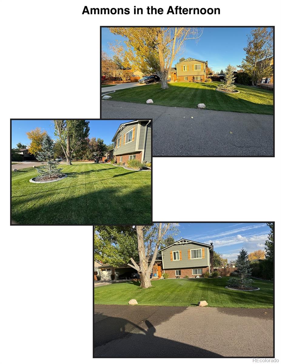 MLS Image #44 for 8700 s ammons street,littleton, Colorado