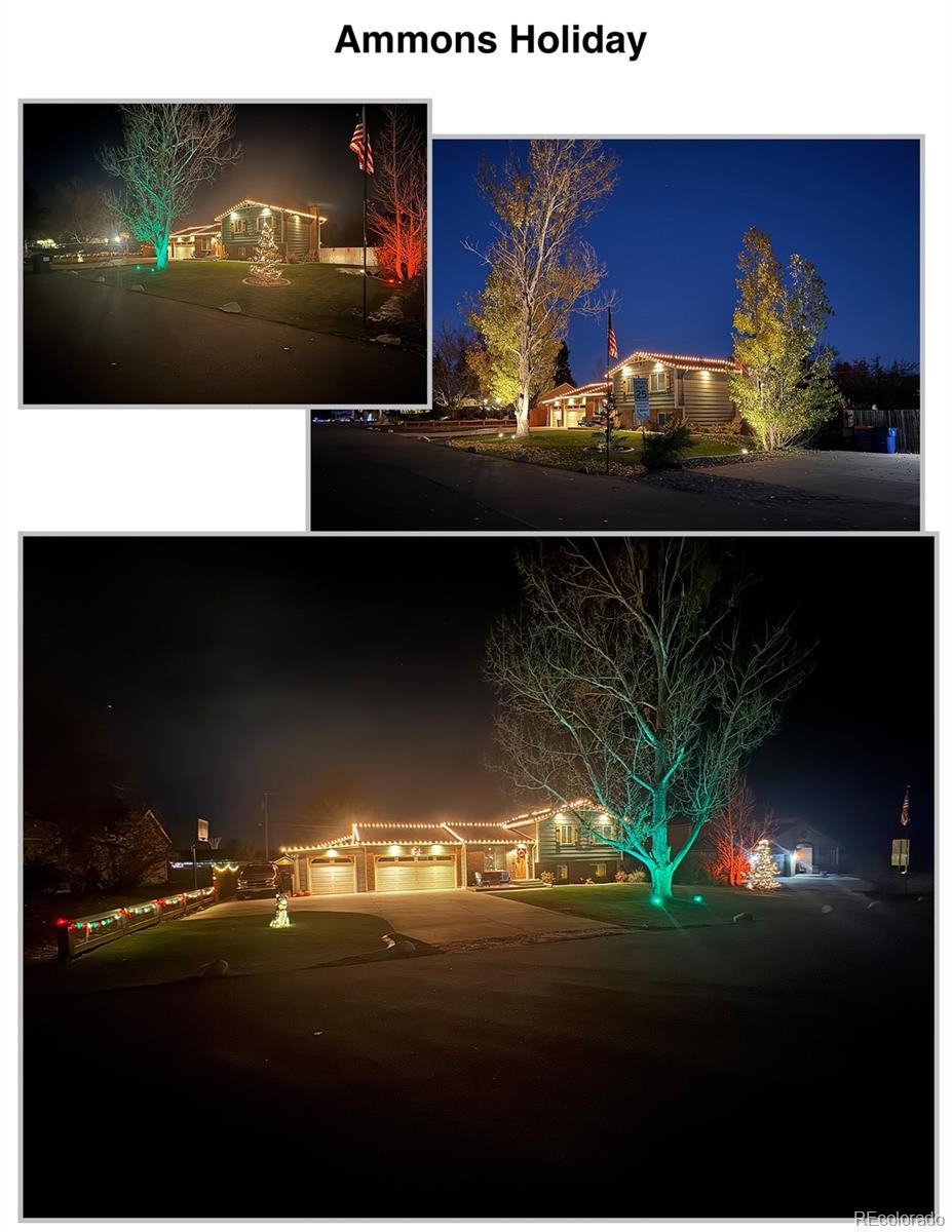 MLS Image #45 for 8700 s ammons street,littleton, Colorado
