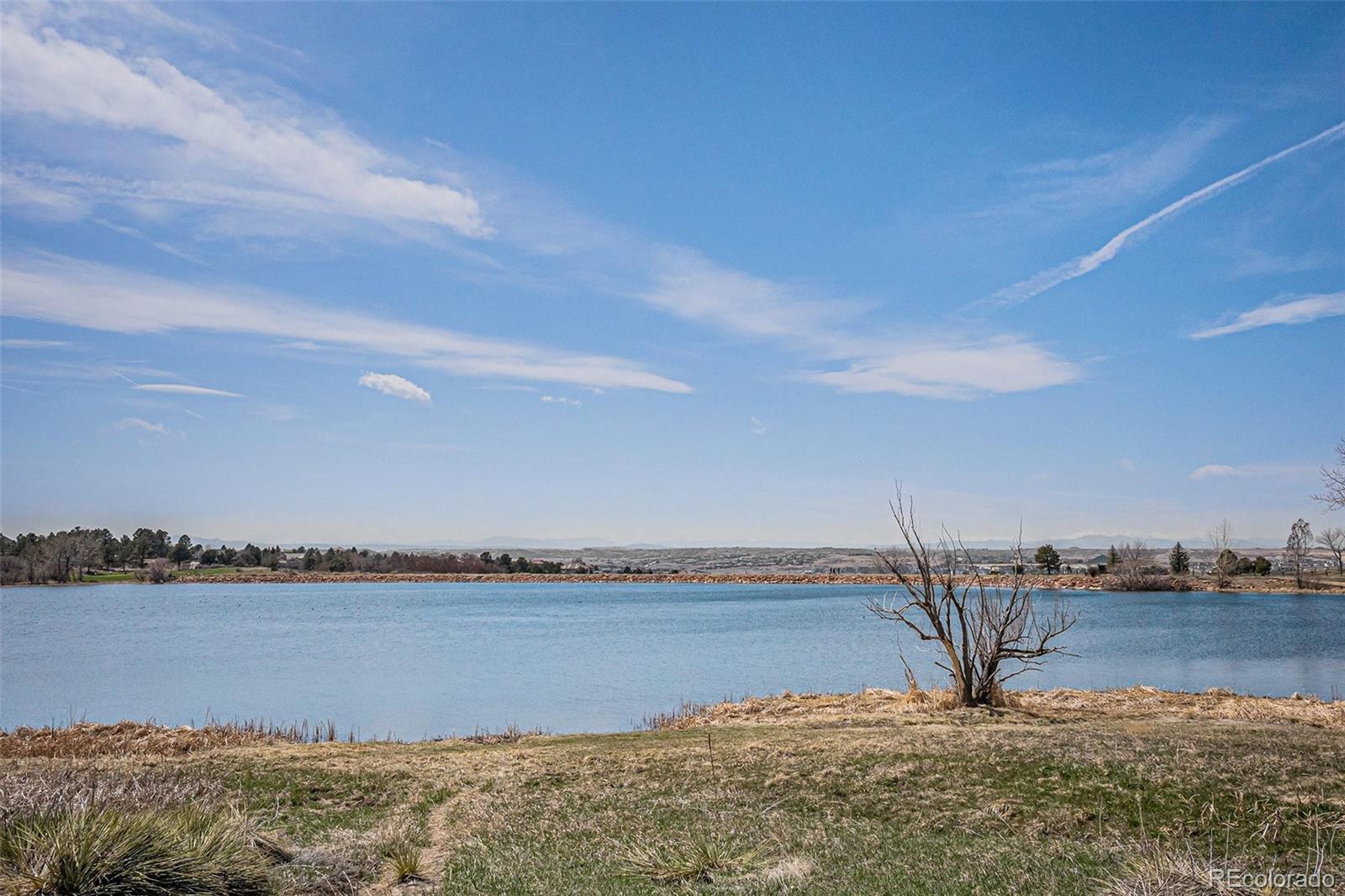 MLS Image #7 for 7965  lakeshore drive,parker, Colorado