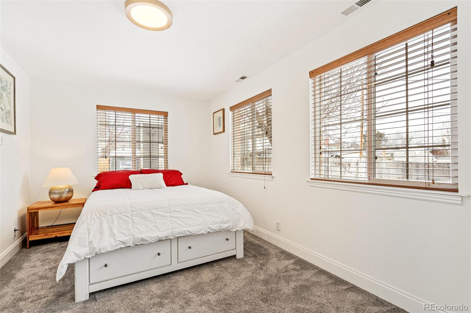 MLS Image #23 for 2222-2224  hooker street,denver, Colorado