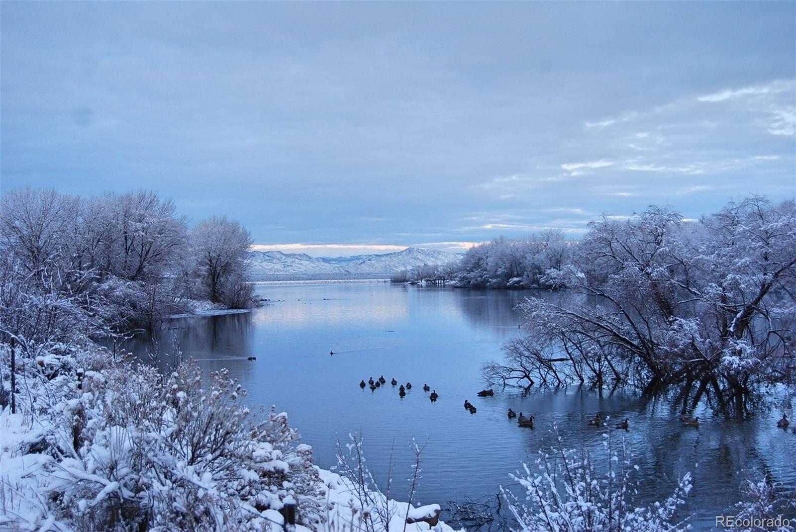 MLS Image #31 for 7775 s curtice drive,littleton, Colorado