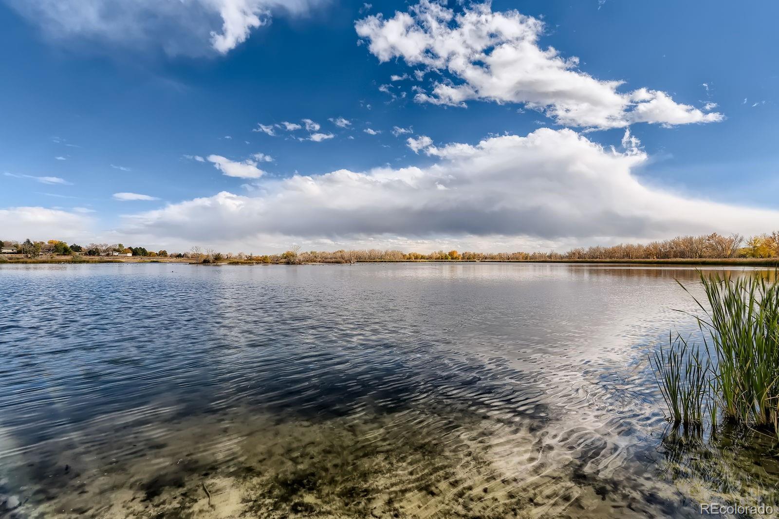 MLS Image #28 for 3803  dyanna drive,thornton, Colorado