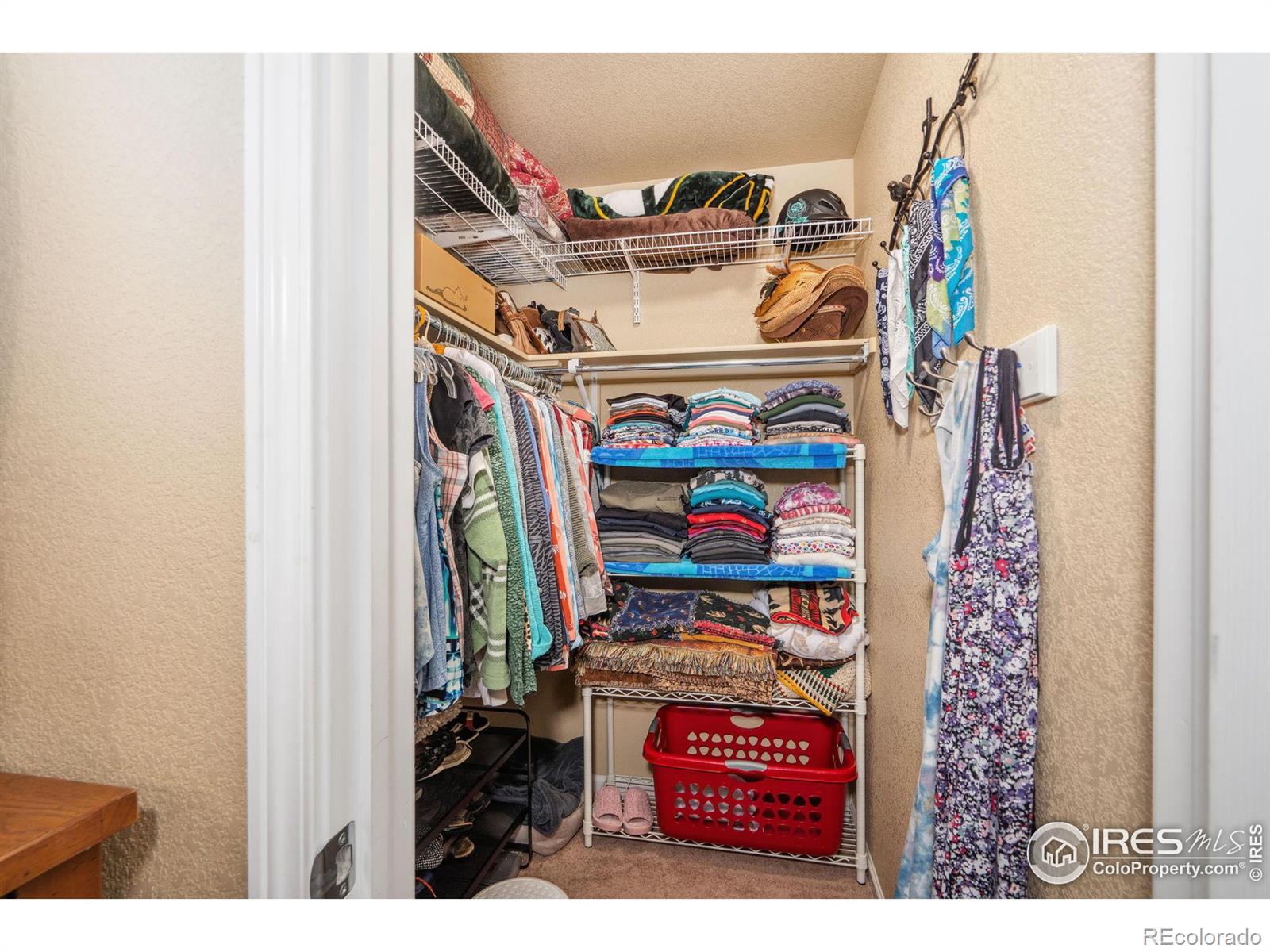 MLS Image #16 for 4566  cushing drive,loveland, Colorado