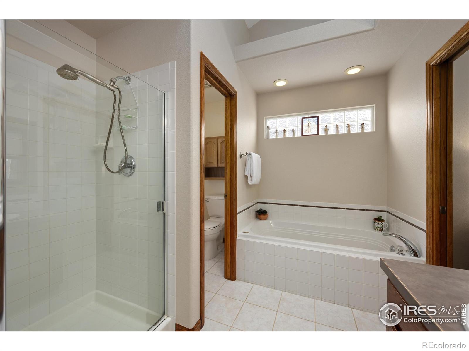 MLS Image #12 for 503  parkwood drive,windsor, Colorado
