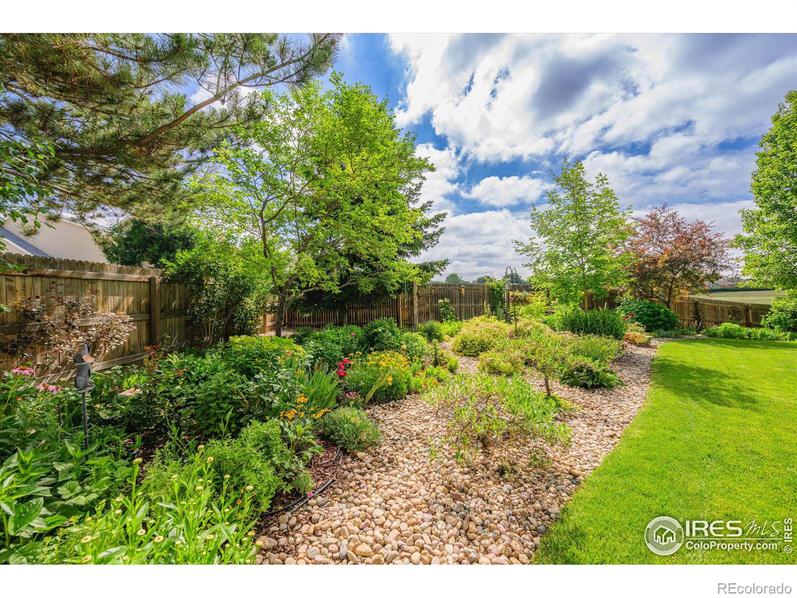 MLS Image #26 for 503  parkwood drive,windsor, Colorado