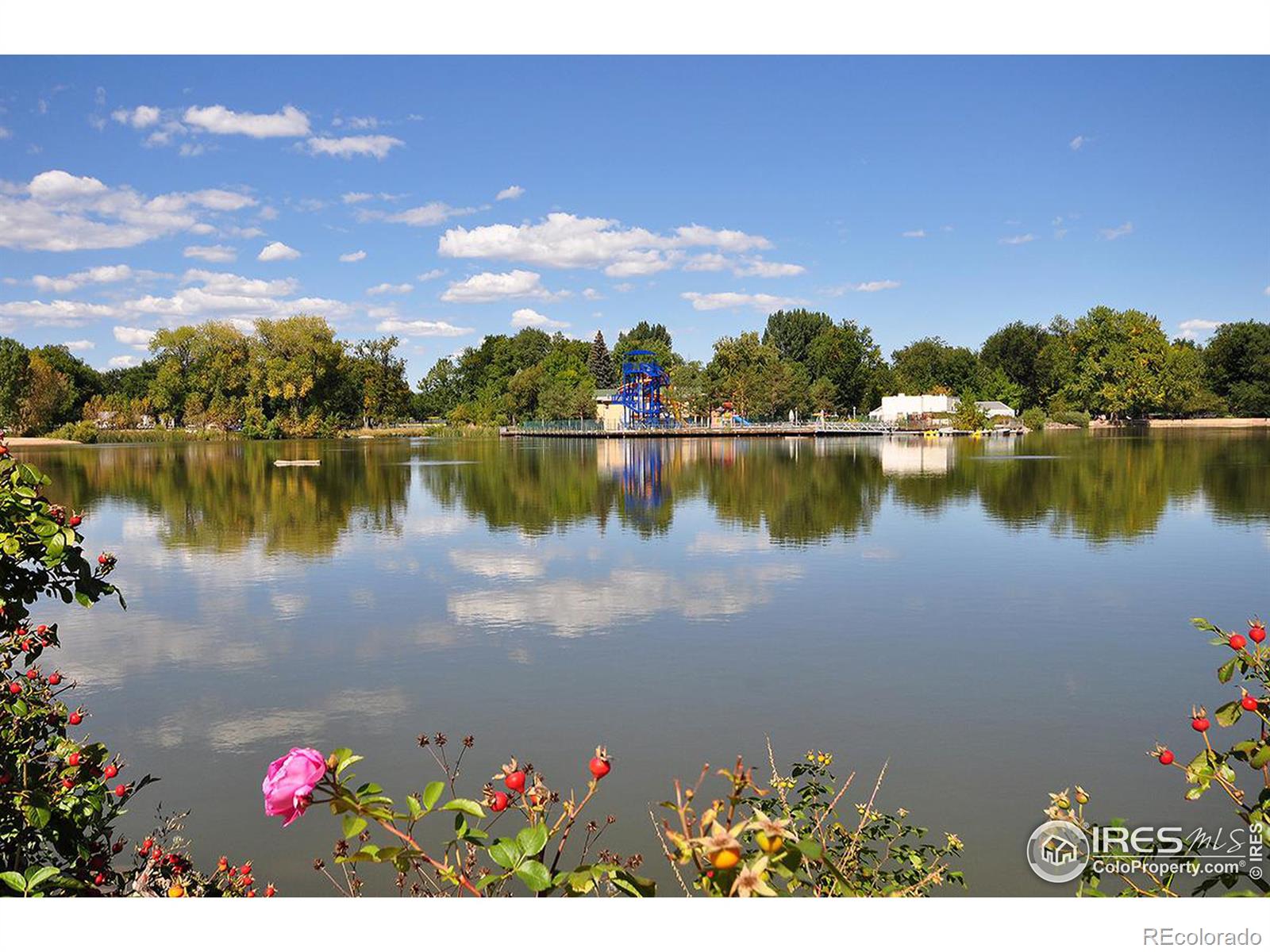 MLS Image #21 for 115 s mack street,fort collins, Colorado