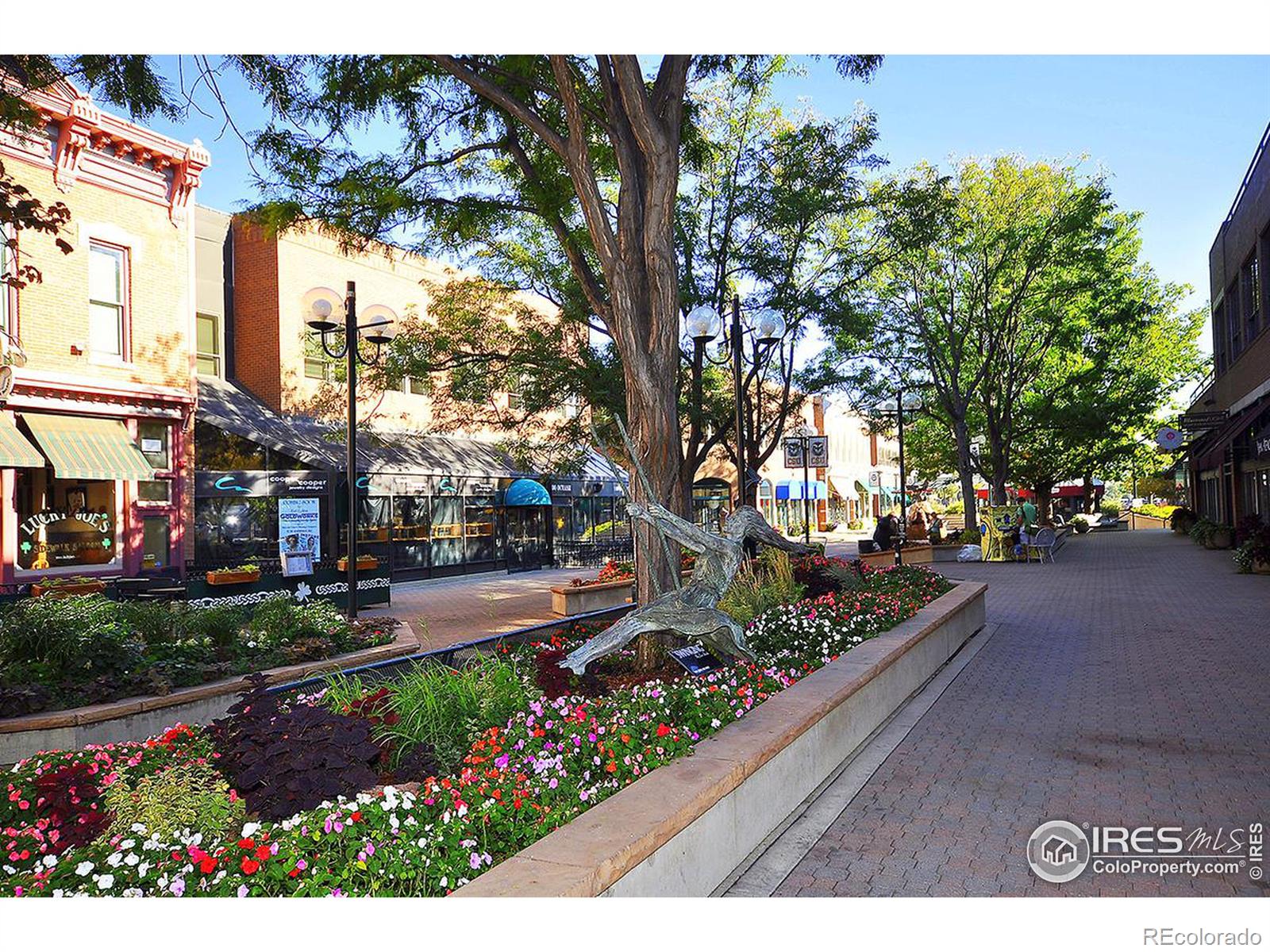 MLS Image #22 for 115 s mack street,fort collins, Colorado