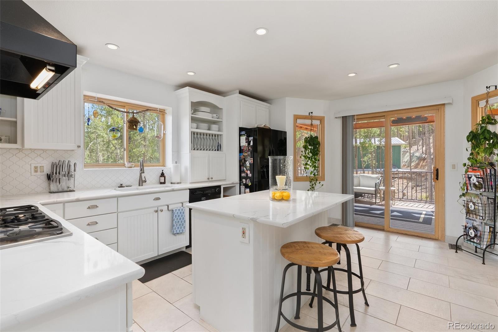 MLS Image #13 for 32876  saint moritz drive,evergreen, Colorado