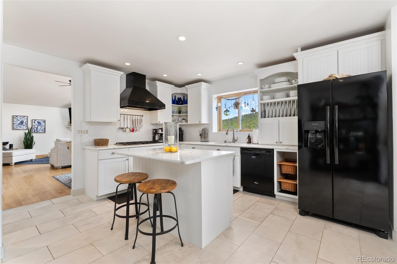 MLS Image #14 for 32876  saint moritz drive,evergreen, Colorado