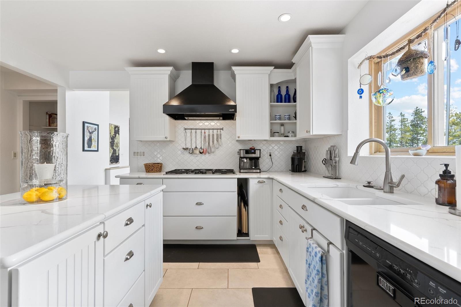 MLS Image #15 for 32876  saint moritz drive,evergreen, Colorado