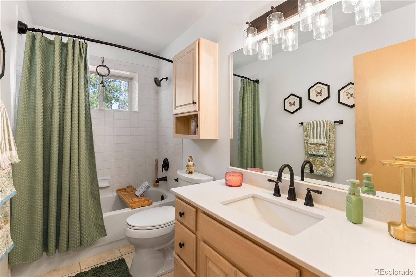 MLS Image #21 for 32876  saint moritz drive,evergreen, Colorado