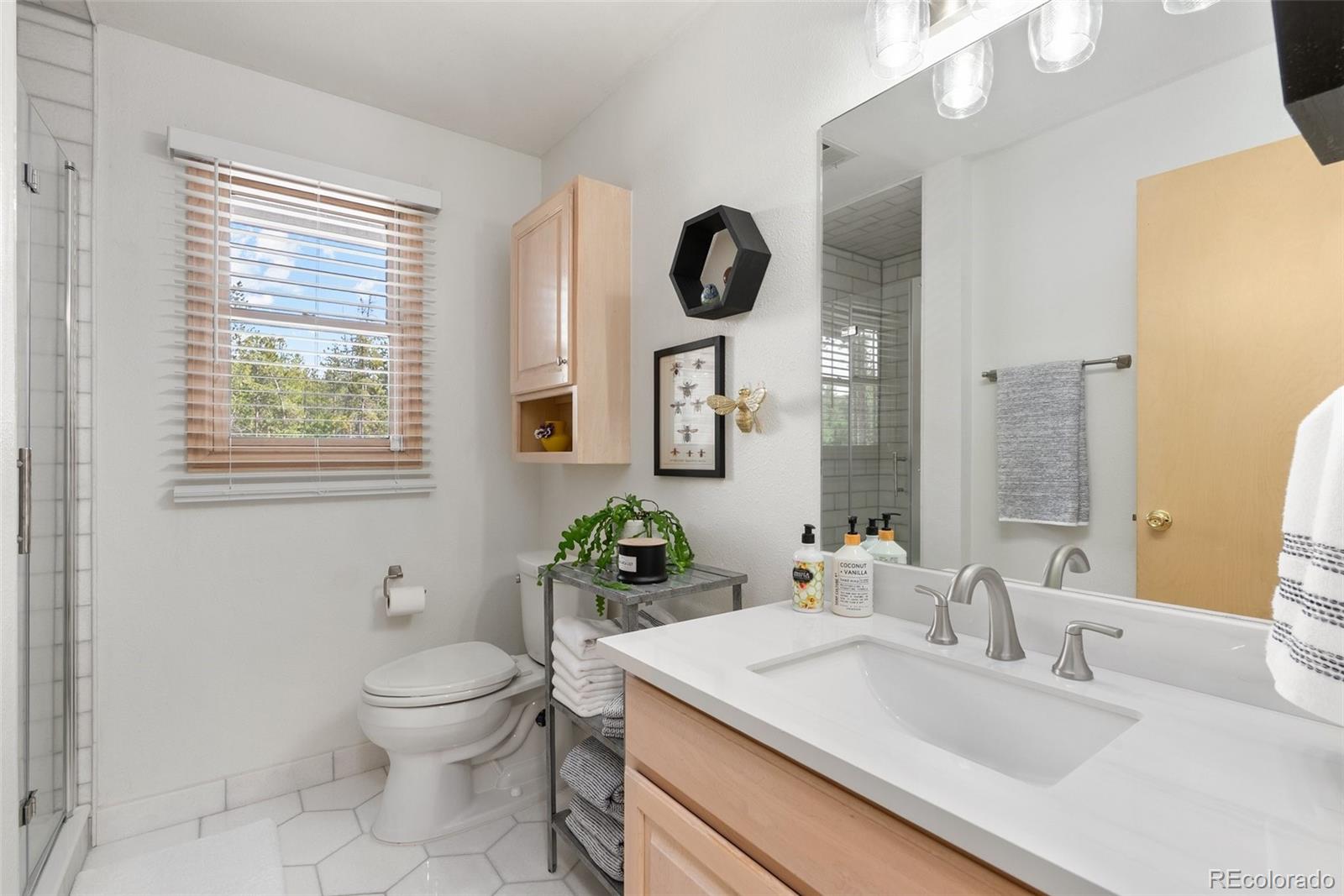 MLS Image #27 for 32876  saint moritz drive,evergreen, Colorado