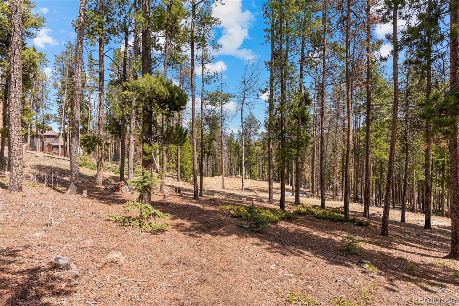 MLS Image #34 for 32876  saint moritz drive,evergreen, Colorado