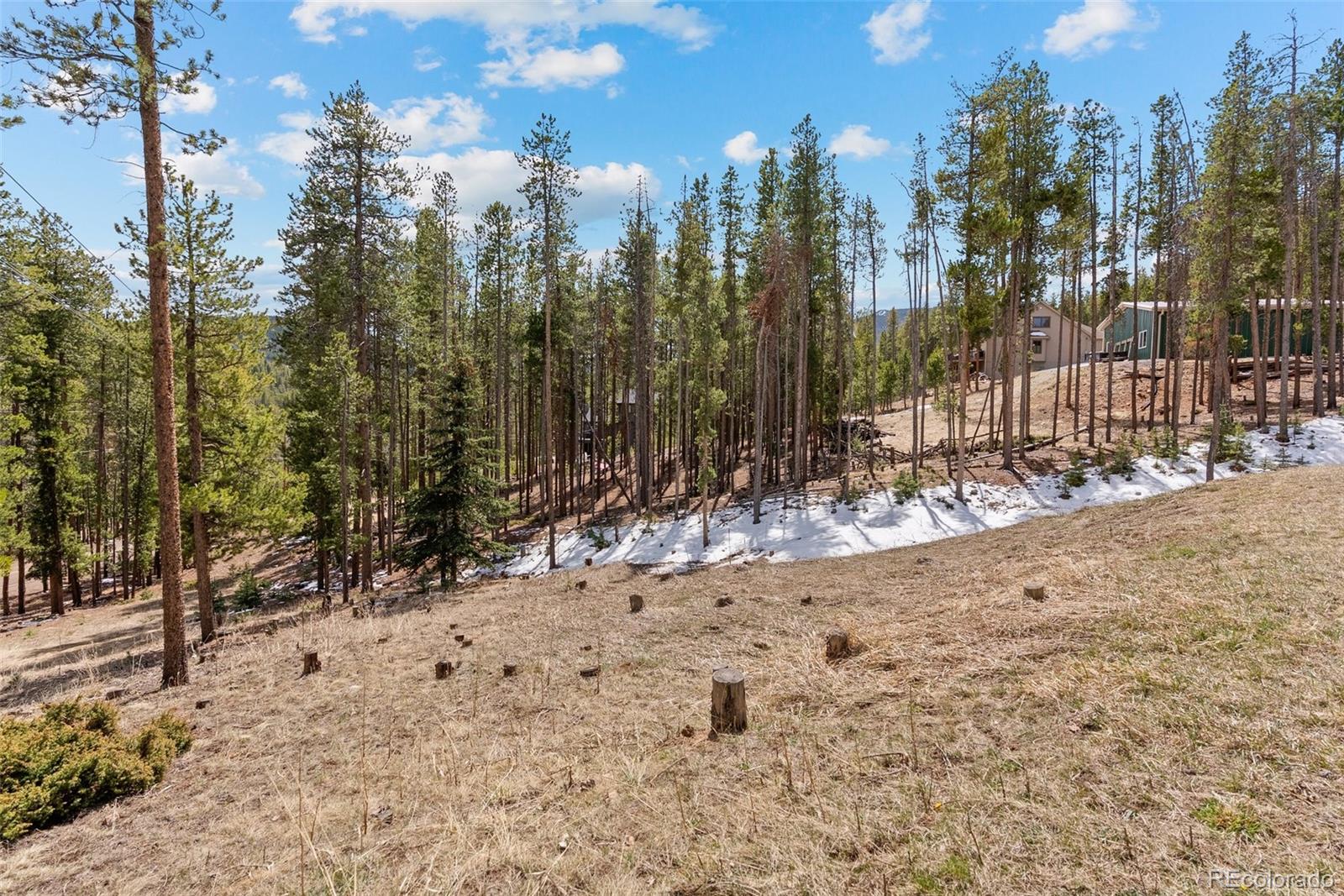 MLS Image #35 for 32876  saint moritz drive,evergreen, Colorado