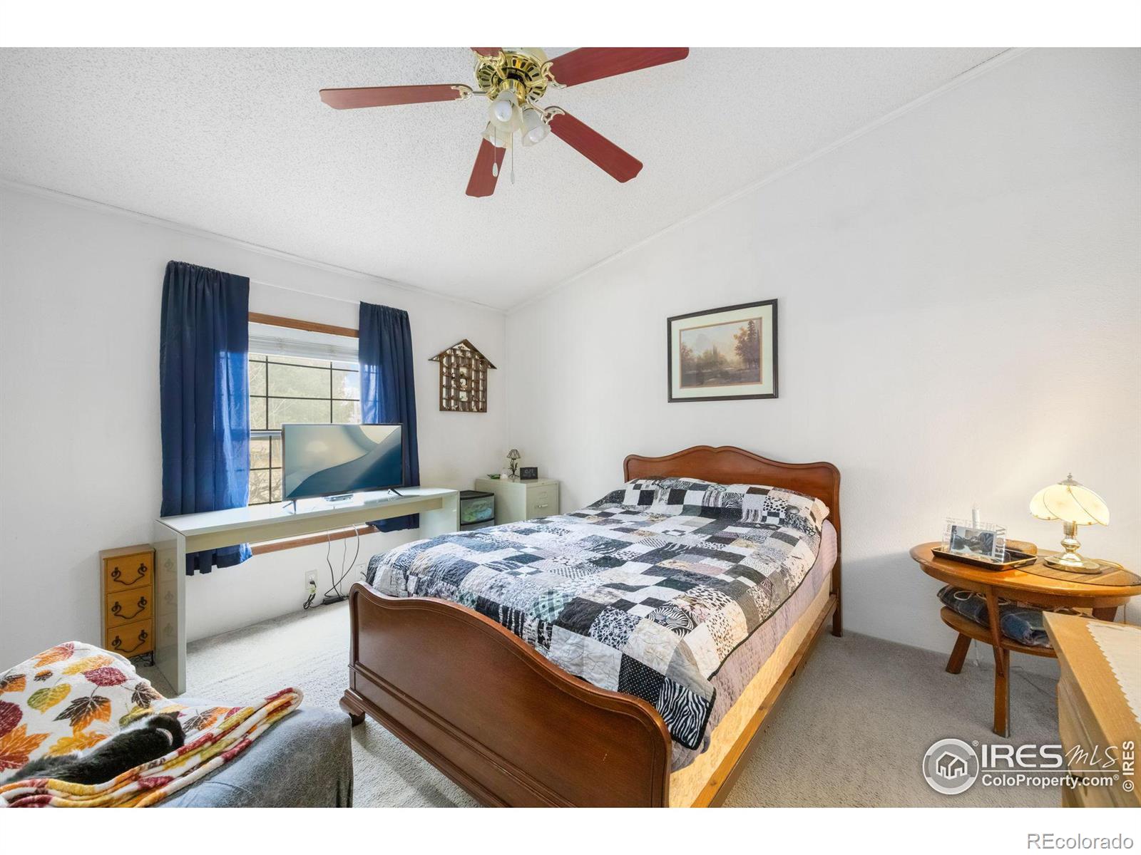 MLS Image #13 for 228  leanne drive,loveland, Colorado